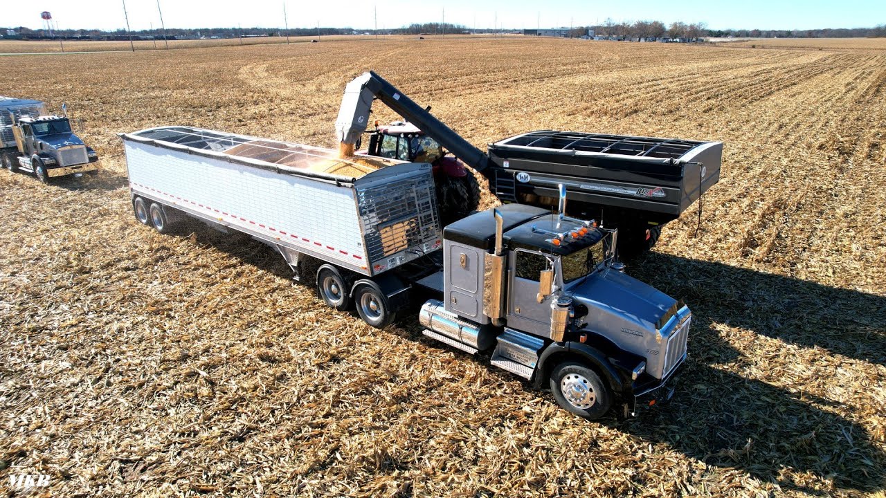 B & M Farms hauling grain to the elevator!!!