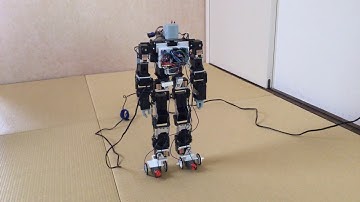inverted pendulum with biped humanoid robot