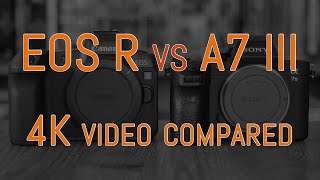 Canon EOS R vs Sony A7 III - 4K Video Comparison