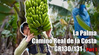 La Palma Gr130131 Camino Real De La Costa Part 1