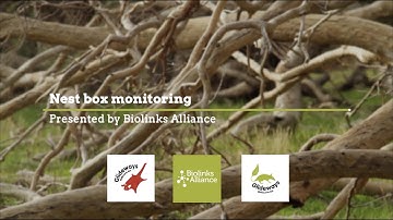 Nest box monitoring - Glideways in the Melbourne Ark