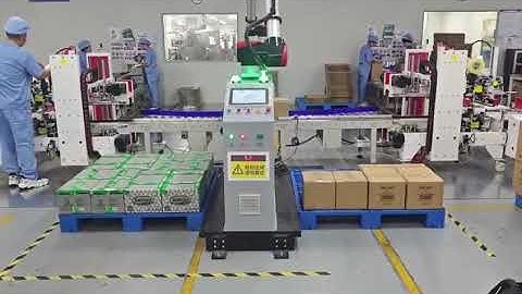 Palletizing Robot | Single + Double Pick on Two Pallets