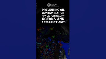 Preventing oil contamination is vital for healthy oceans and a resilient planet.