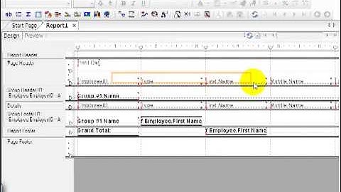 13 Crystal ReportsXI Designing a Basic Report    Layout & Presentation
