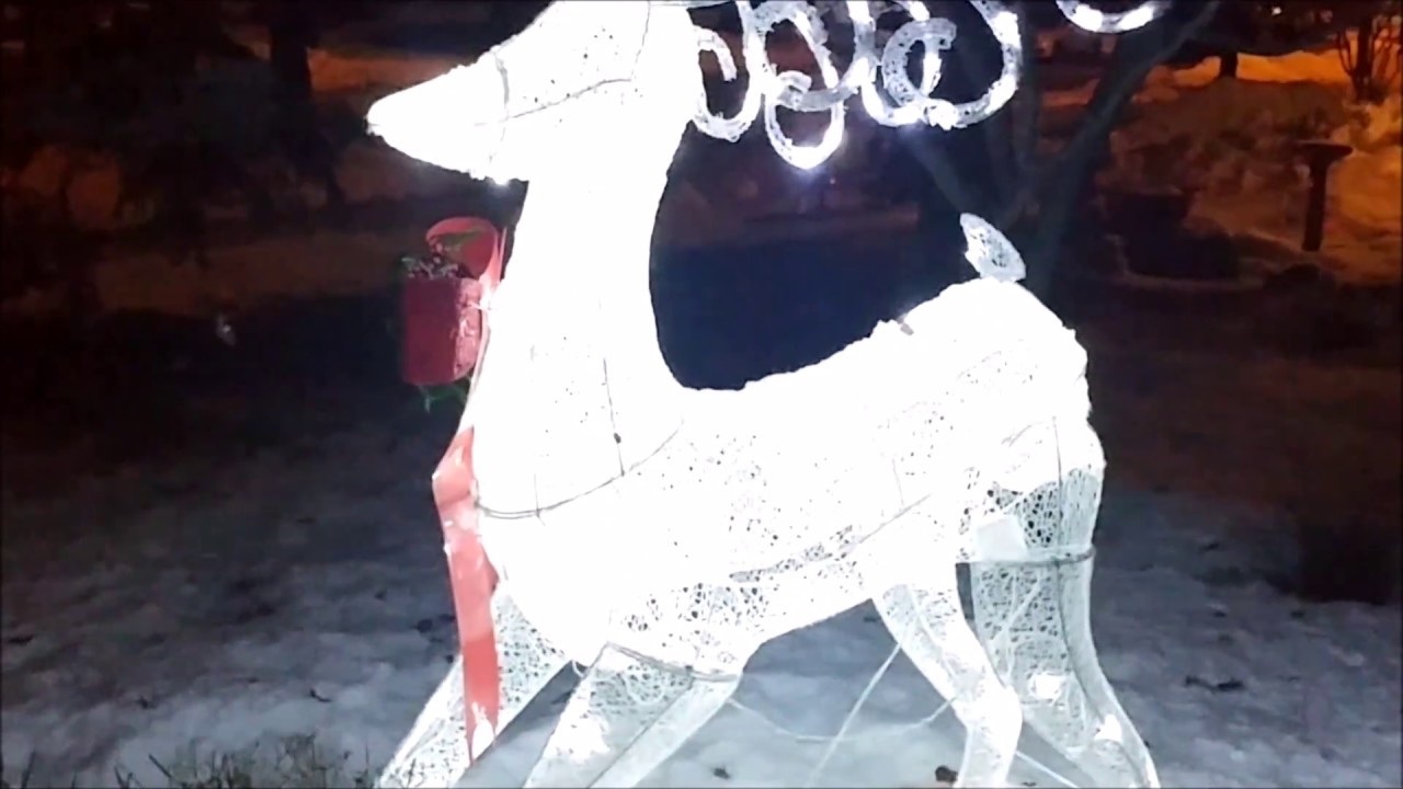 cool white led deer
