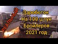 Сколько Можно Заработать на 100 штук Курей  Бройлерах в 2021 Году