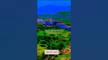 تلاوة خاشعة قرأن كريم راحة نفسية #elmulquranعلم #قران_كريم #تلاوة #المصحف #trend #اكسبلور #aslam