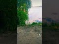 عبدالله سعيد وقال فرعون ذروني اقتل موسى سورة غافر عبدالله سعيد سورة غافر عبدالله سعيد سورة غافر