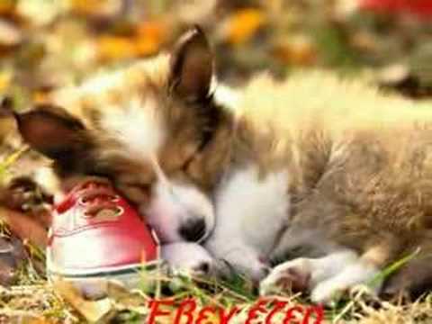 Κανένας δεν μπορεί να σου κλεισεί τον Ουρανό (VSX 9)