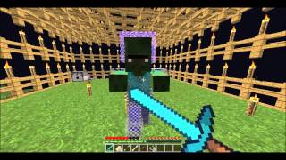 Does Sword Blocking Really Work Minecraft 1080p
