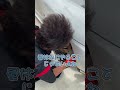 トラスト企画の昼休みと言えば...!? #shorts