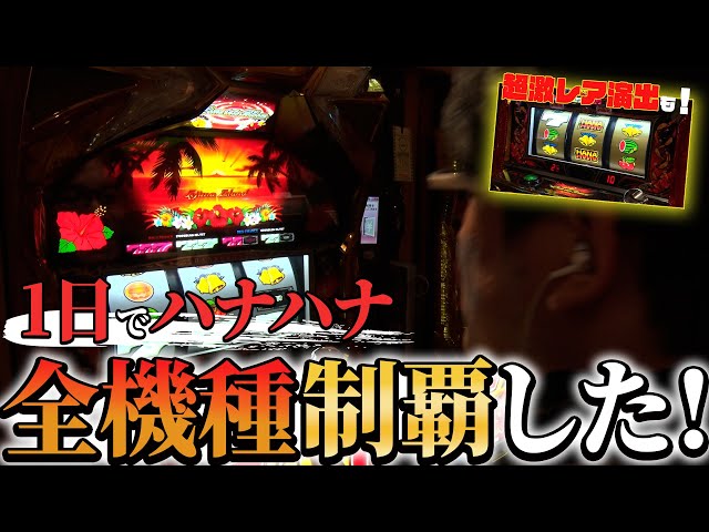 Complete Conquest] I tried to conquer all current Hana Hana