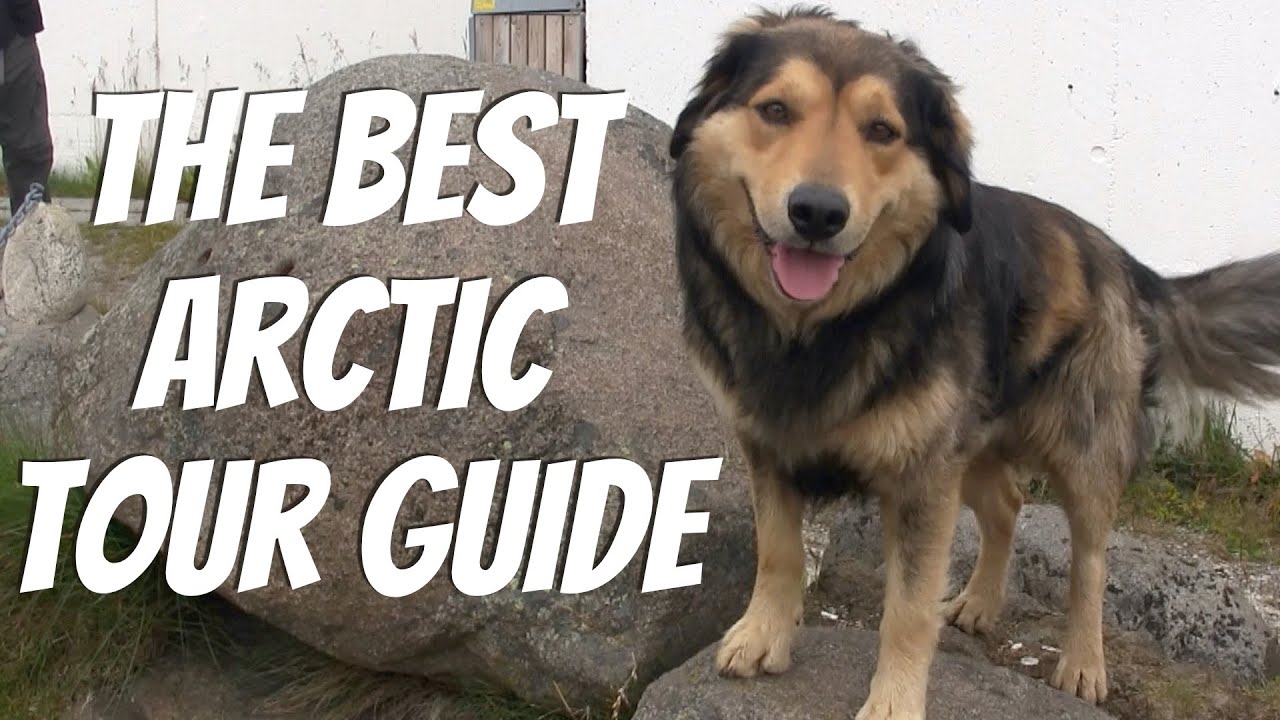 The Best Arctic Tour Guide | #47 | DrakeParagon Sailing Season 5