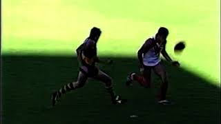 2nd and 3rd Qu:  1986 Sydney vs Richmond at SCG