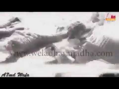 قالو ايه علينا بدون موسيقى