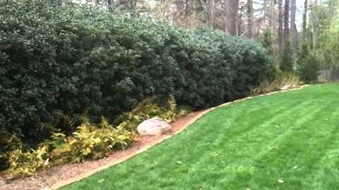 MosquitoNix Mosquito Control Misting Systems - Misting Systems for Your Large Yard