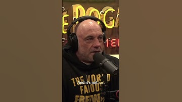 AI Surveillance & Chat GPT: Joe Rogan