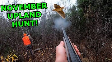 NOVEMBER Woodcock and RUFFED GROUSE Hunting!!