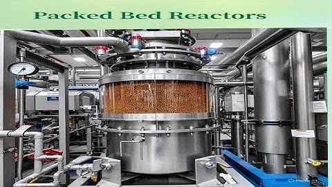 Packed Bed Reactor