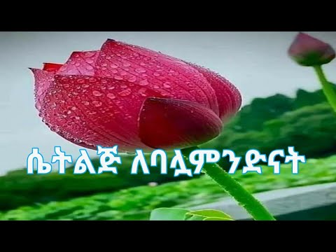 ቪዲዮ: ኪም ካርዳሺያን መልክዋን ለባሏ ቀይራለች