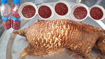 Tiết Canh Nhím Ngon Nhất- Nhím 4 món! Lối Về Làng TV!