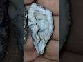 🪸Amazing Icey Blue Botryoidal Chalcedony in this Agatized Coral Geode! #crystals #minerals #gemstone