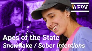 APES OF THE STATE -  Snowflake & Sober Intentions | A Fistful of Vinyl