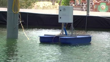 Giám sát online nhiệt độ, DO, pH, độ mặn, ORP ao nuôi tôm siêu thâm canh tại Vĩnh Linh - Quảng Trị