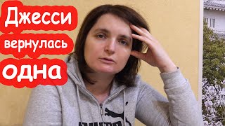 VLOG Утром ракеты. Днём пропали собаки. Треш. Украина. 26 января