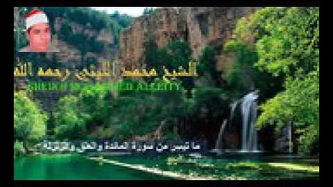 ورائعة الروائع للعملاق الشيخ محمد الليثي سورة المائدة وقصار السور