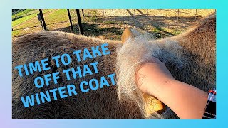 Relax and Check Out This Satisfying Winter Coat Removal