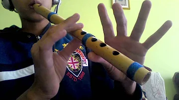 Learn to play HERO TUNE on INDIAN FLUTE