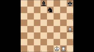 Ладья и слон против слона и коня! #шахматы #chess