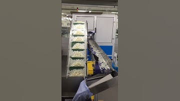 High speed button sorting machine ボタン光学選別機