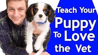 How to Train your Puppy to Love the Vet!