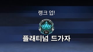 플래티넘 랭크
