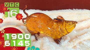 Dân tình săn lùng chuột "ôm thần dược" trưng Tết | VTC16