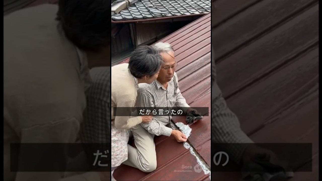 【AIドラマ】屋根雨漏りをDIYで直した結果が酷い…｜素人がハマる失敗パターンを解説