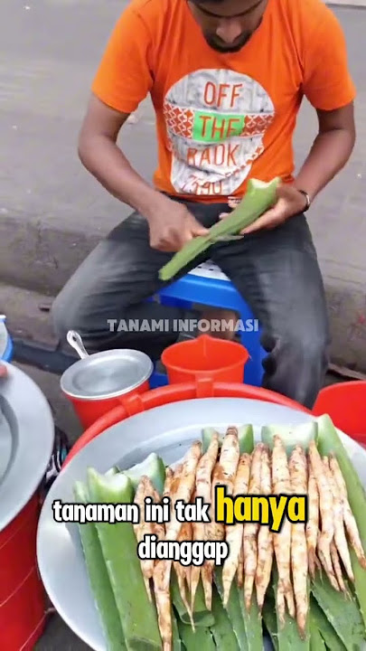 olahan yang segar dari lidah buaya ala india #storytelling #ceritainspiratif #calonsarjana #infounik