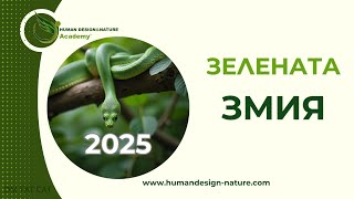 : 2025 -    |     |  #