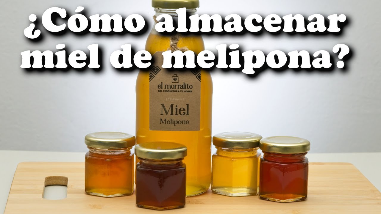 ¿Cómo almacenar miel de melipona?