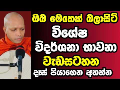 ඔබසැම මෙතෙක් බලාගෙන සිටි විශේෂ විදර්ශනා භාවනා වැඩසටහන | Ven hasalaka seelawimala thero bana 2026