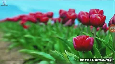 An destroyed windows 8 release preview