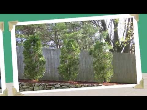 159 Independence Ave, Quincy, MA home video tour