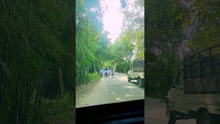 A Road in Majuli Island, Assam