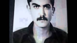 Deni̇zli̇ Devri̇m Şehi̇tleri̇ - Denizlerin Dalgasiyim.wmv
