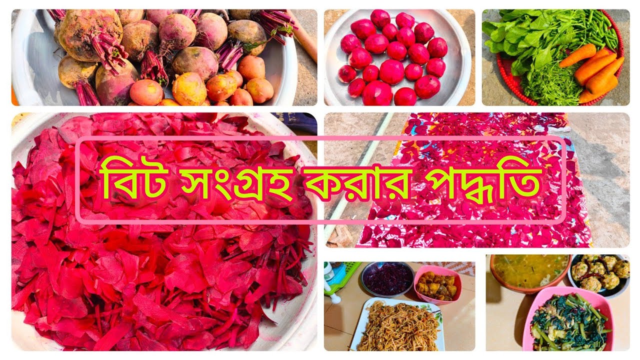 ✨বিট সংগ্রহ করা। বিট ভাজি এবং রান্নাবান্না//Roksana's vlog's...