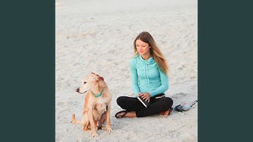 Successful Backdrops for A Lonely Pup