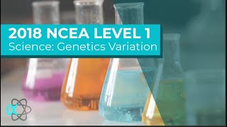 2018 NCEA L1 Genetics variation full worked answers