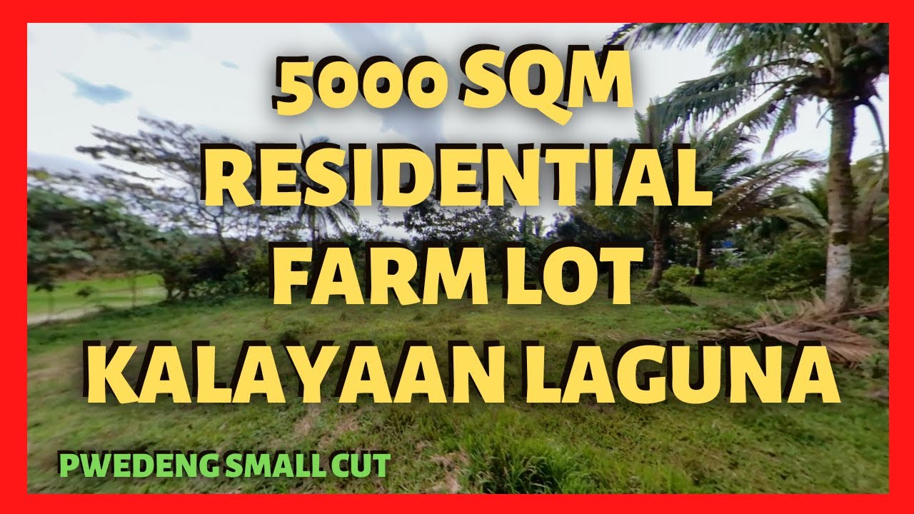 Kalayaan Farm Lot For Sale 5000 sqm (Lot Code 2211) YouTube
